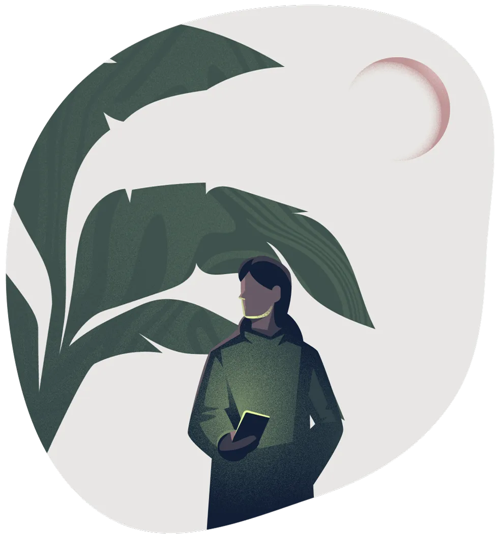 Illustration 1